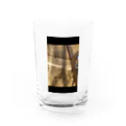 boiscimeボワシームのテントの光 Water Glass :front