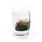 こここのどこかの花 Water Glass :front