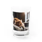 feliceのリビングでごろんとする猫 Water Glass :front