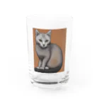 F2 Cat Design Shopのhairless cat 001 Water Glass :front
