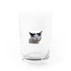 fukayanのブサかわ猫　ベン Water Glass :front