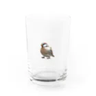 kikesdsのかっこいい雀 Water Glass :front