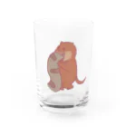 ガトーショコラのハブ対マングース ハブ敗北 Water Glass :front