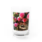 AQUAMETAVERSEの椿のドームなでしこ1478 Water Glass :front