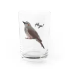 やちよ｜リアル鳥イラストのヒヨドリさん Water Glass :front