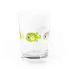 栗坊屋の幼魚だから小さいよ2 Water Glass :front