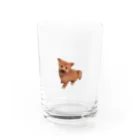 ChapiMugi(チャピむぎ)の柴犬もどき(子犬) Water Glass :front