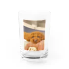ASAMI ZOOのプッチンプリン Water Glass :front