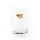 たけきんのさくらにしき Water Glass :front