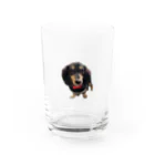 神崎エリカとはやとのグッズのカニンヘンダックスの隼人くん Water Glass :front