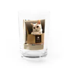 Mizuki・ASIA CATのMILUKU グラス前面