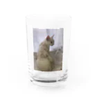 Mizuki・ASIA CATの後ろ美猫MILU🐾 Water Glass :front