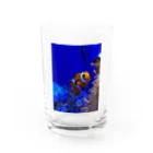 Ebiten3の可愛いクマノミ Water Glass :front