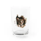 oniyanma64の子猫外を見る Water Glass :front