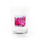 グッズ・ゆきハウス🏠の🌸コスモス、満開！🌸 Water Glass :front