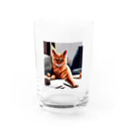 ソルブラインのお仕事猫「ブライ」 Water Glass :front