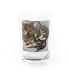 恥ずかしがり屋のねこショップの 寝ているかわいいこ猫 Water Glass :front