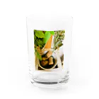 Mizuki・ASIA CATのコルク集め Water Glass :front