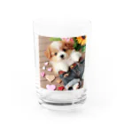 鈴木敏夫のジーパンがかわいいねー犬には　お似合いかも Water Glass :front