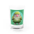 ３の字屋のカカポグッズ Water Glass :front