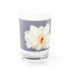 HAREBAREのAO Water Glass :front