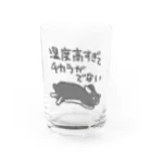 ミナミコアリクイ【のの】の湿度高すぎ【うさぎ】 Water Glass :front