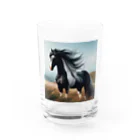 k8646の過酷な環境で育った馬 Water Glass :front