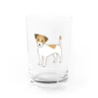 ジャックラッセルテリアのお店のジャックラッセルテリアNo.２ Water Glass :front