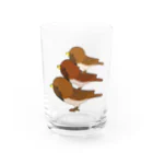 chicodeza by suzuriのすずめタワー Water Glass :front