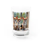 kilkoameaのキュートほのぼのチワワ兄弟 Water Glass :front