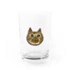 DOUCEのスコティッシュストレート　むっく Water Glass :front