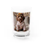 sachisachi_alanのお洋服を着たオーストラリアン・ラブラドゥードル Water Glass :front