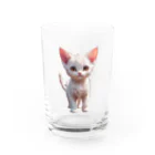 Kikimimiネコのkikimimiネコ（シロネコ） Water Glass :front