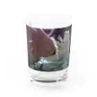 自撮りさんの見つけたロリータ Water Glass :front