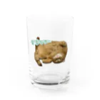 猫アルバム 〜猫好きさん集まれ！猫グッズも紹介〜のごろ～んちょびくん Water Glass :front