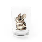 ちもちもの変わった模様のパイドデグーちゃん Water Glass :front