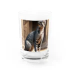 Koiwamiyaの神殿に佇むサバンナキャット Water Glass :front