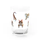 Me_canのみかんがいっぱい Water Glass :front