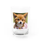 パピコの動画のパピコ Water Glass :front