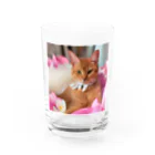 kamaraのkamala Water Glass :front