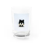 黒柴むさし君のSimpleむさし君 Water Glass :front