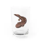 puikkoのオオサンショウウオ Water Glass :front