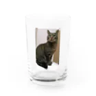 ポチオのトイレの上のポチオ Water Glass :front