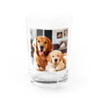 KAWAKamiのワンだふるゴールデン・セレクション Water Glass :front