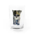 青い猫の真白 Water Glass :front