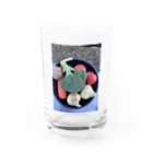 ___piguの野菜の子供達 Water Glass :front