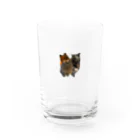 モフ甘コアラ隊のモフ甘コアラ隊 Water Glass :front