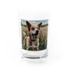 kokin0の畑で微笑む犬 dog smailing in the ground Water Glass :front