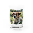 kokin0の草むらで斜めを見つめる犬 dog looking for the anywhere Water Glass :front