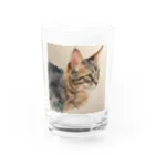 OkometoOmochiの横向き猫 グラス前面